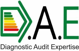 Diagnostic Audit Expertise